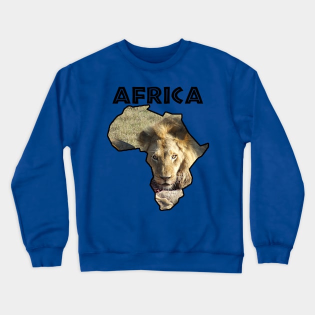 Africa Wildlife Continent Lion Stare Crewneck Sweatshirt by PathblazerStudios